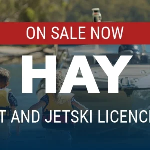 Hay